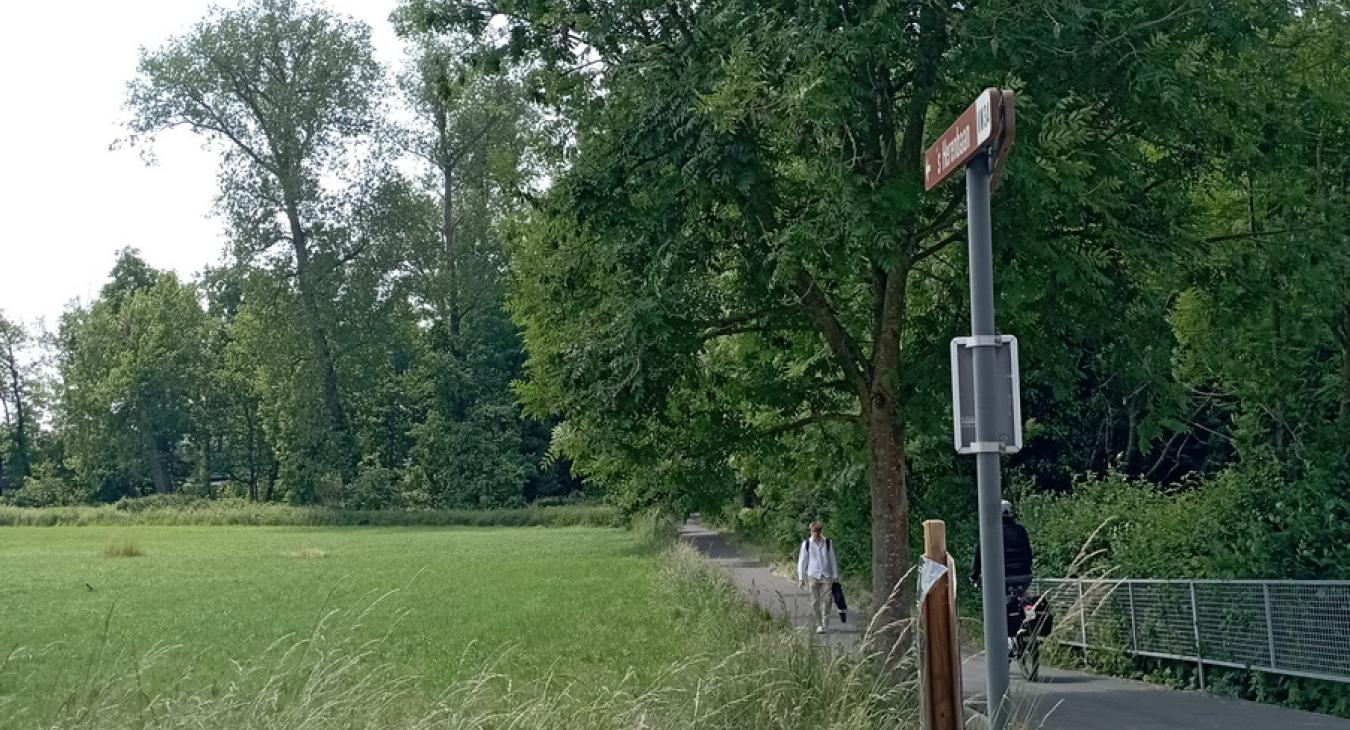 Paepedaelen