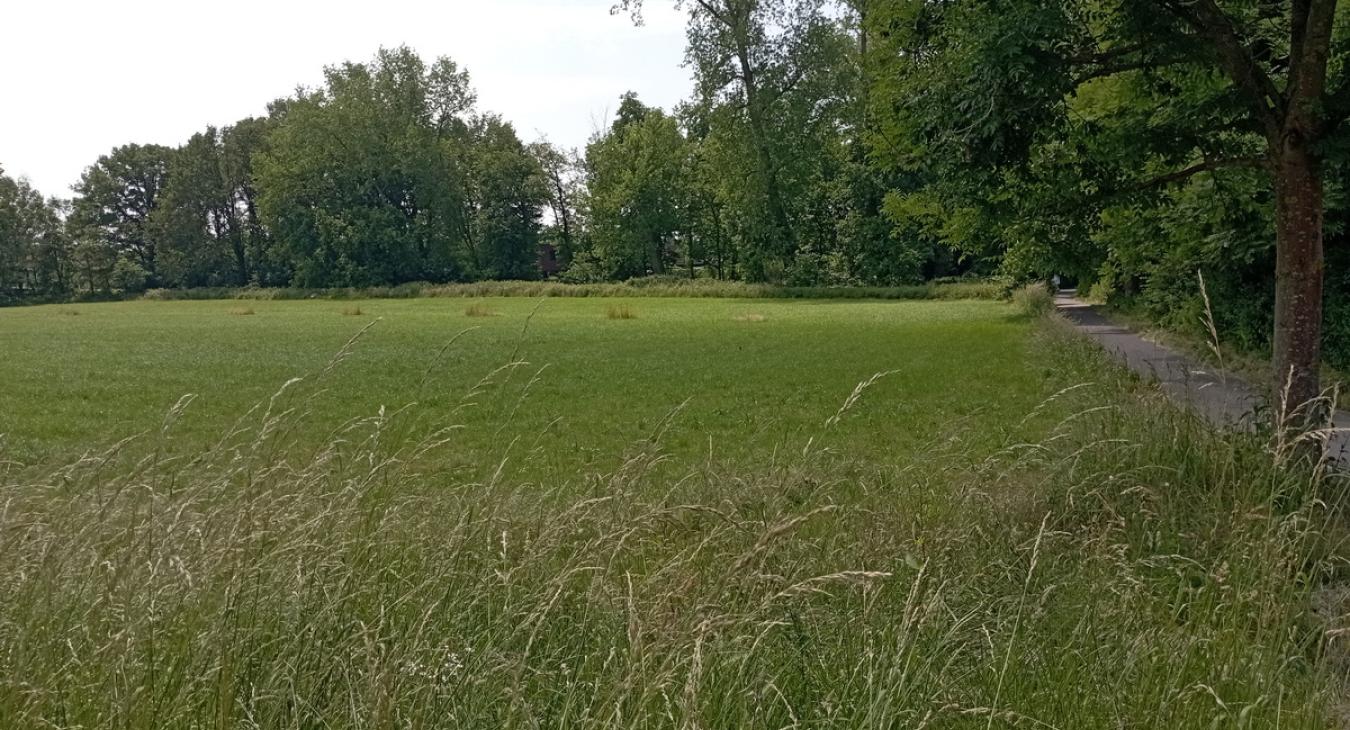 Paepedaelen