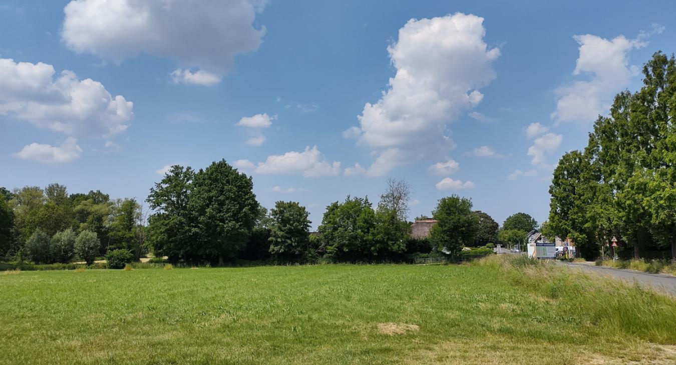 Paepedaelen