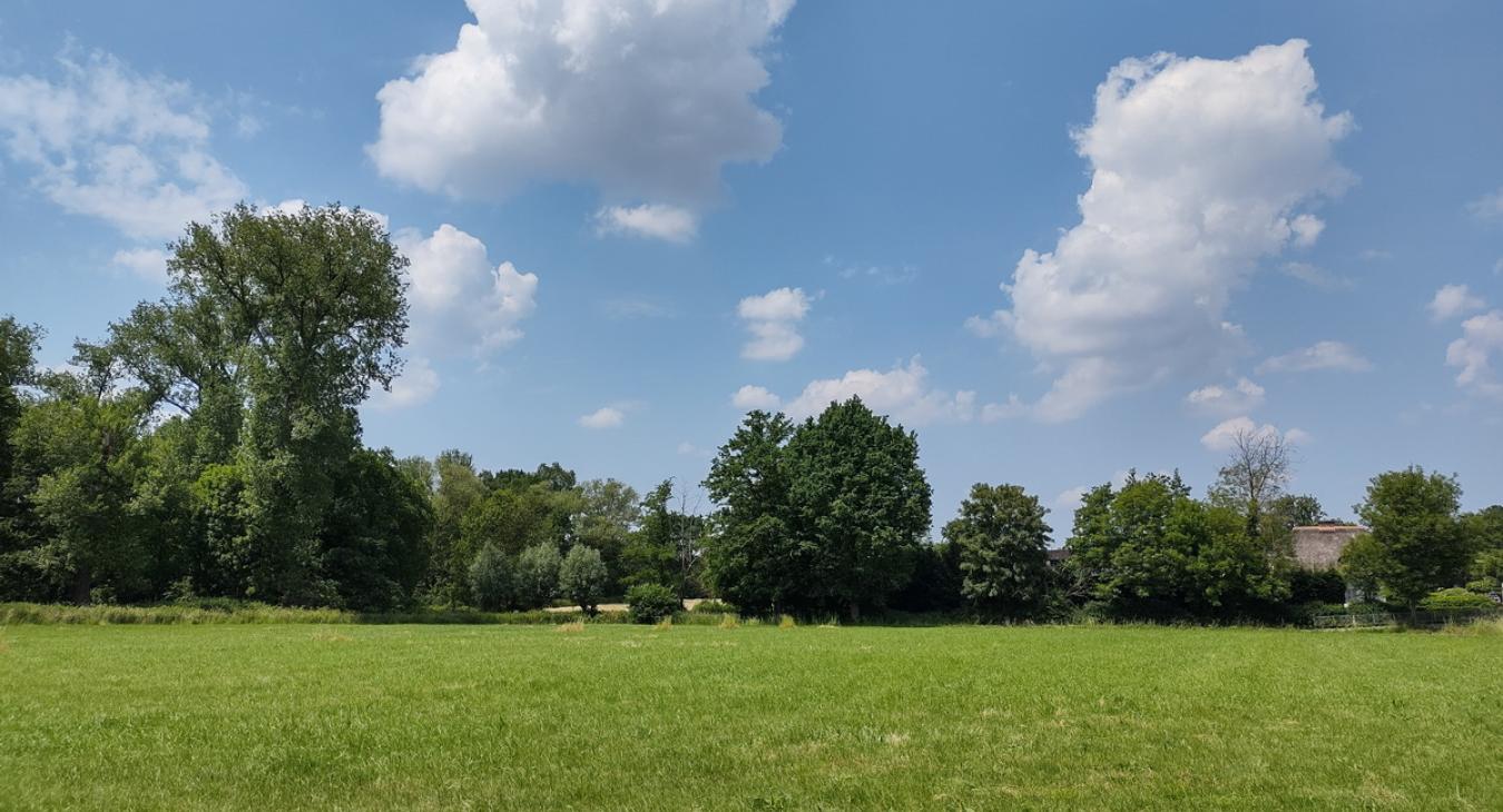 Paepedaelen