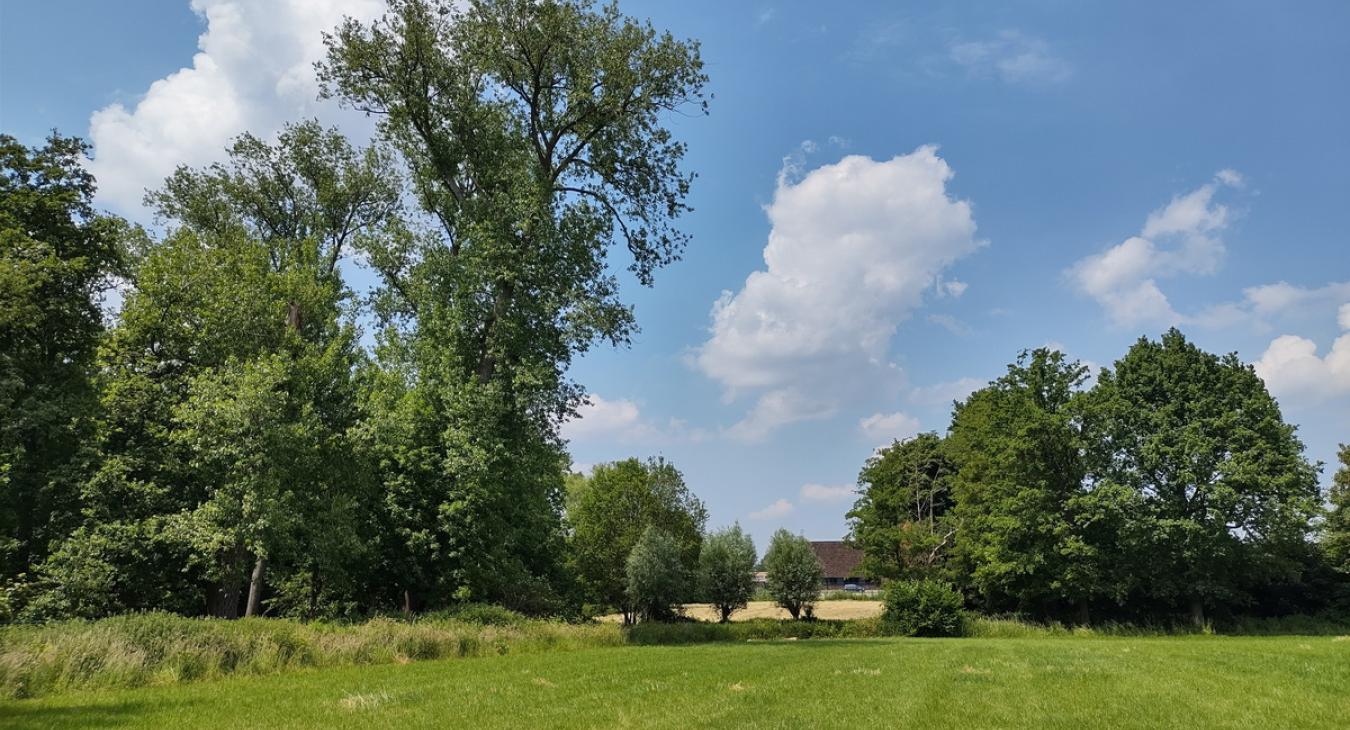 Paepedaelen