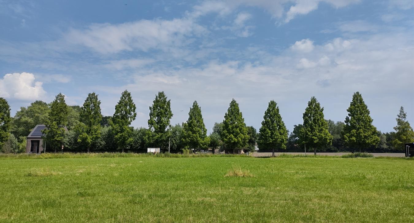 Paepedaelen