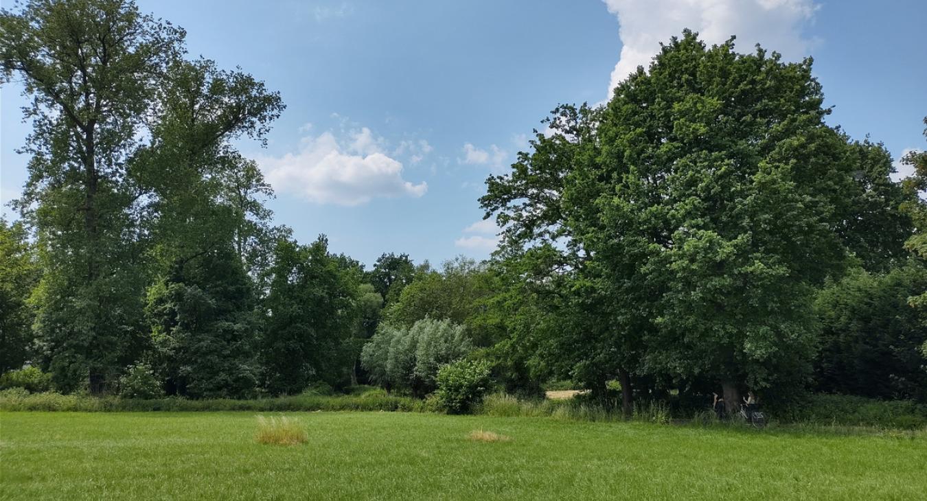 Paepedaelen
